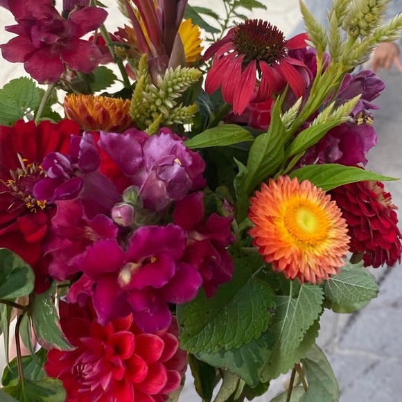 Meet your Posher, 嶺花 - Picture 1 of 1